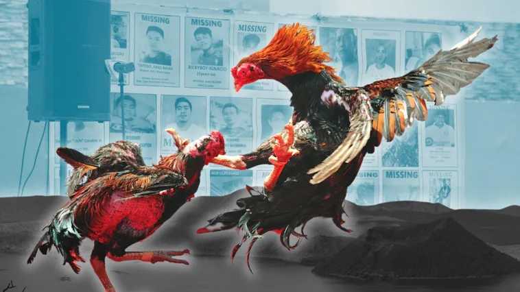 Cách Chơi Đá Gà Sabong Tại ManClub Hiệu Quả Cho Người Mới