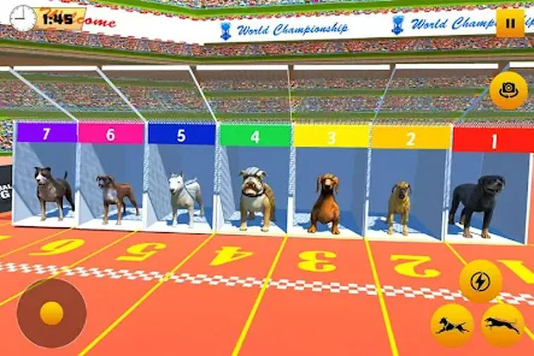 Cách Chơi Game Nhanh Đua Chó Tại Manclub Hiệu Quả Cho Người Mới